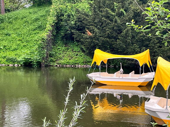 23-05-16 13-30-58 5409